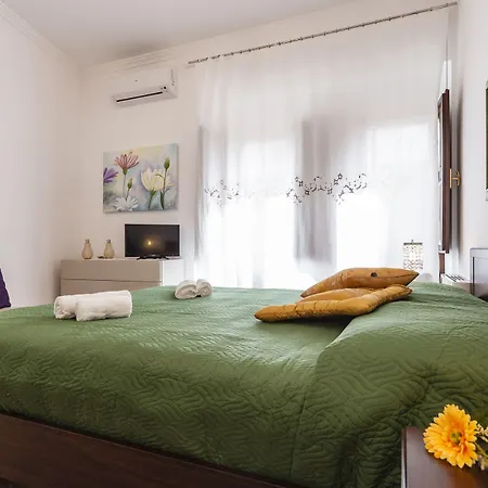 Zanzibar - Charming And